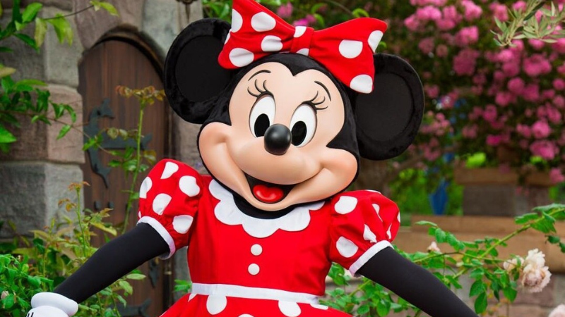 Minnie Mouse Costume Rental
