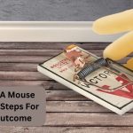 How To Set A Mouse Trap? 9 Best Steps For Effective Outcome