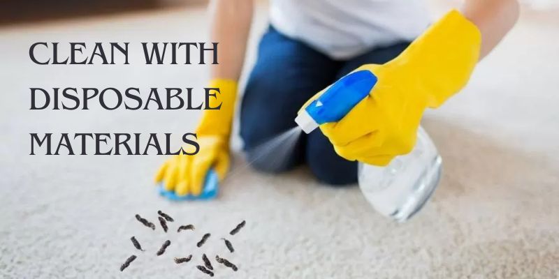 Clean with Disposable Materials